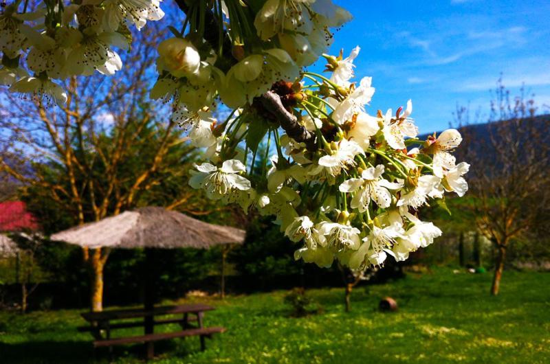 Arte Y Natura Valdivielso Quintana de Valdivielso Kültér fotó
