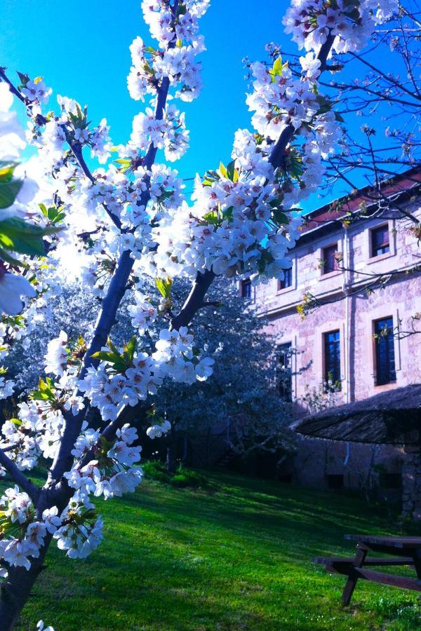 Arte Y Natura Valdivielso Hotel Quintana de Valdivielso Kültér fotó